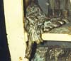 Molten metal from generator core failure